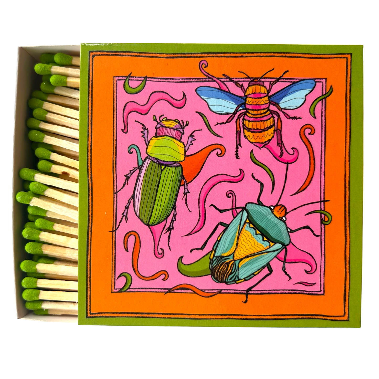 matches. Colourful illustration of bugs.