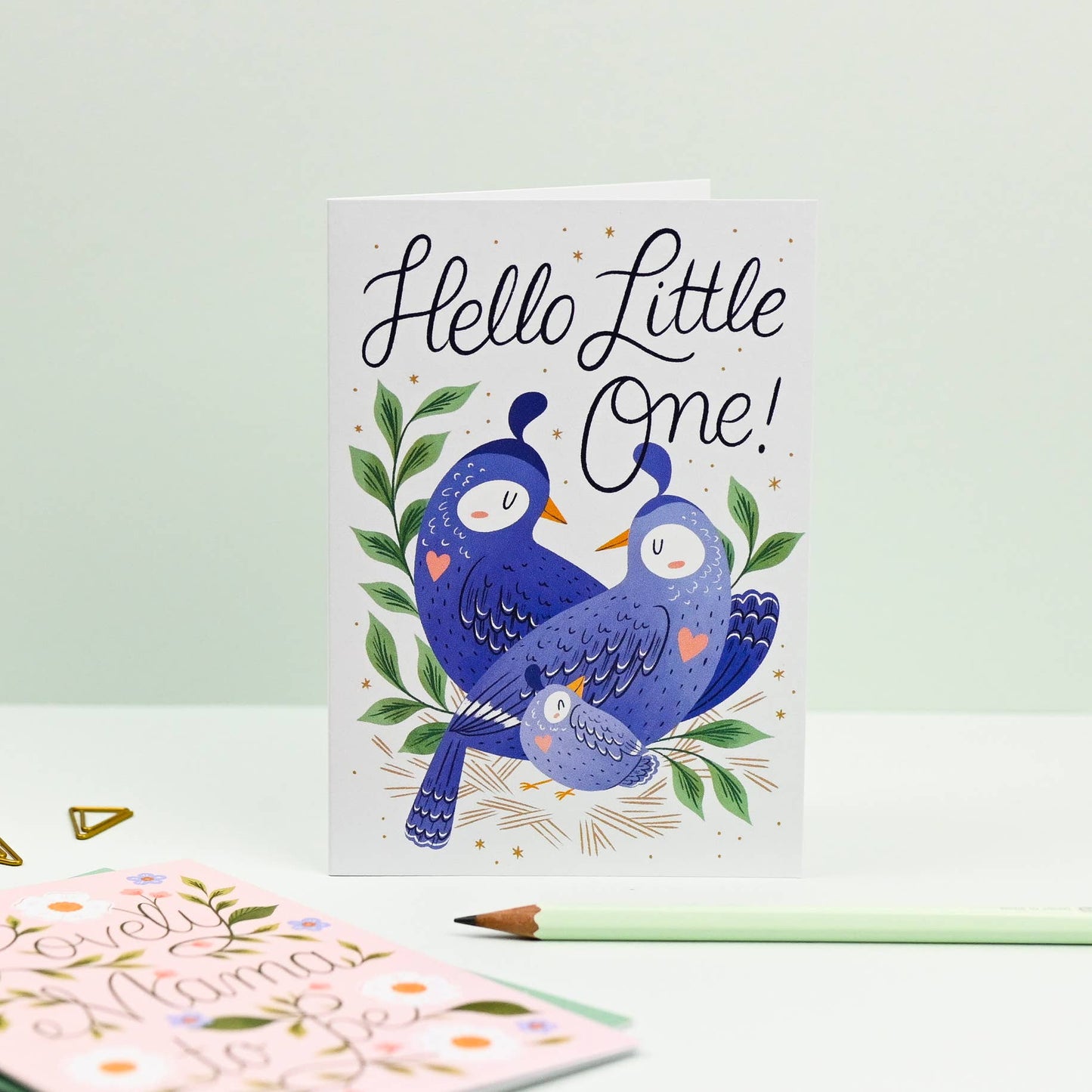 Hello Little One. New Baby Card. Love Birds with a baby bird.