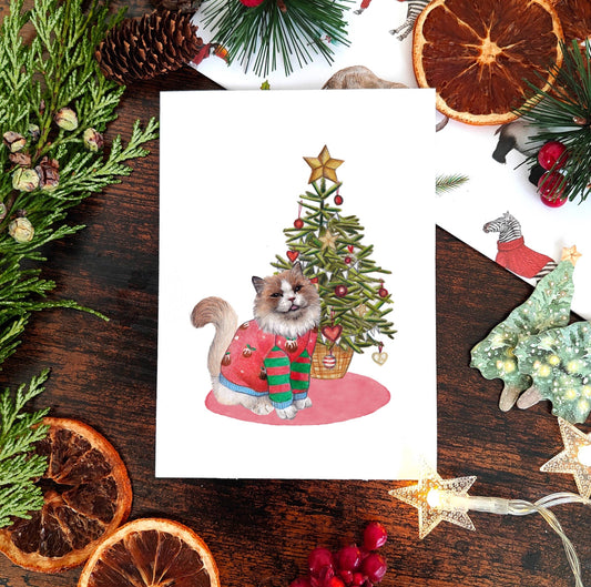 Set of 6 Cats in jumpers Christmas Cards