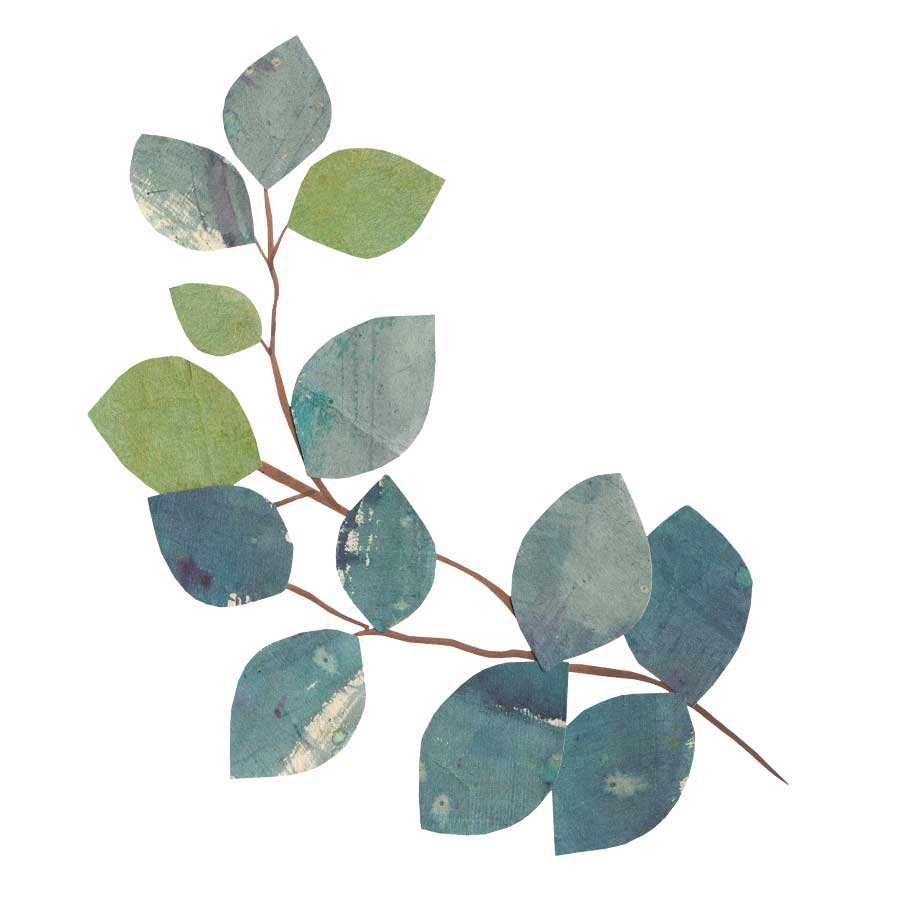 Sympathy Card, eucalyptus