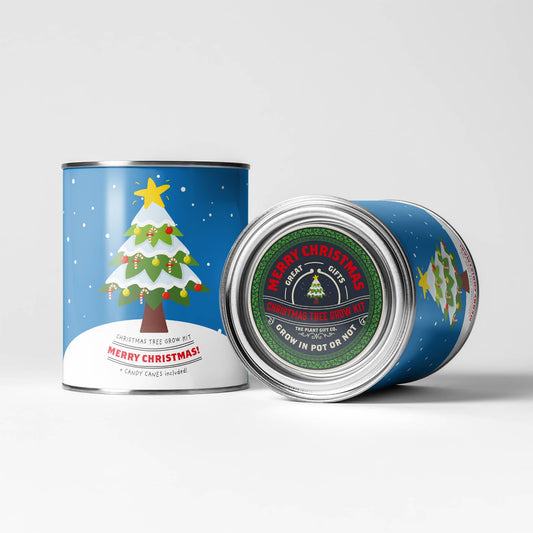 Grow kit in a tin. Christmas tree.