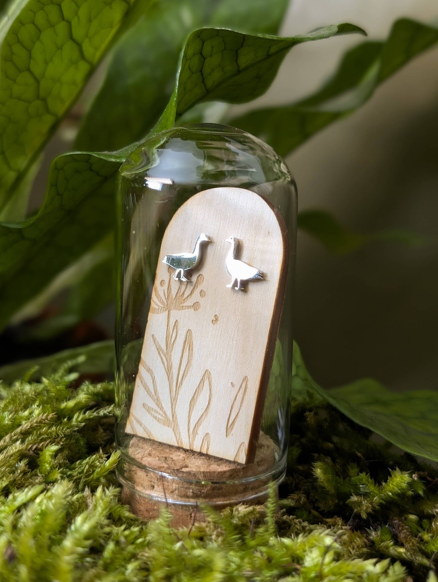 Stainless steel hexagon stud earrings displayed in a glass terrarium tube with a cork stopper, placed on a bed of moss, surrounded by green leaves.