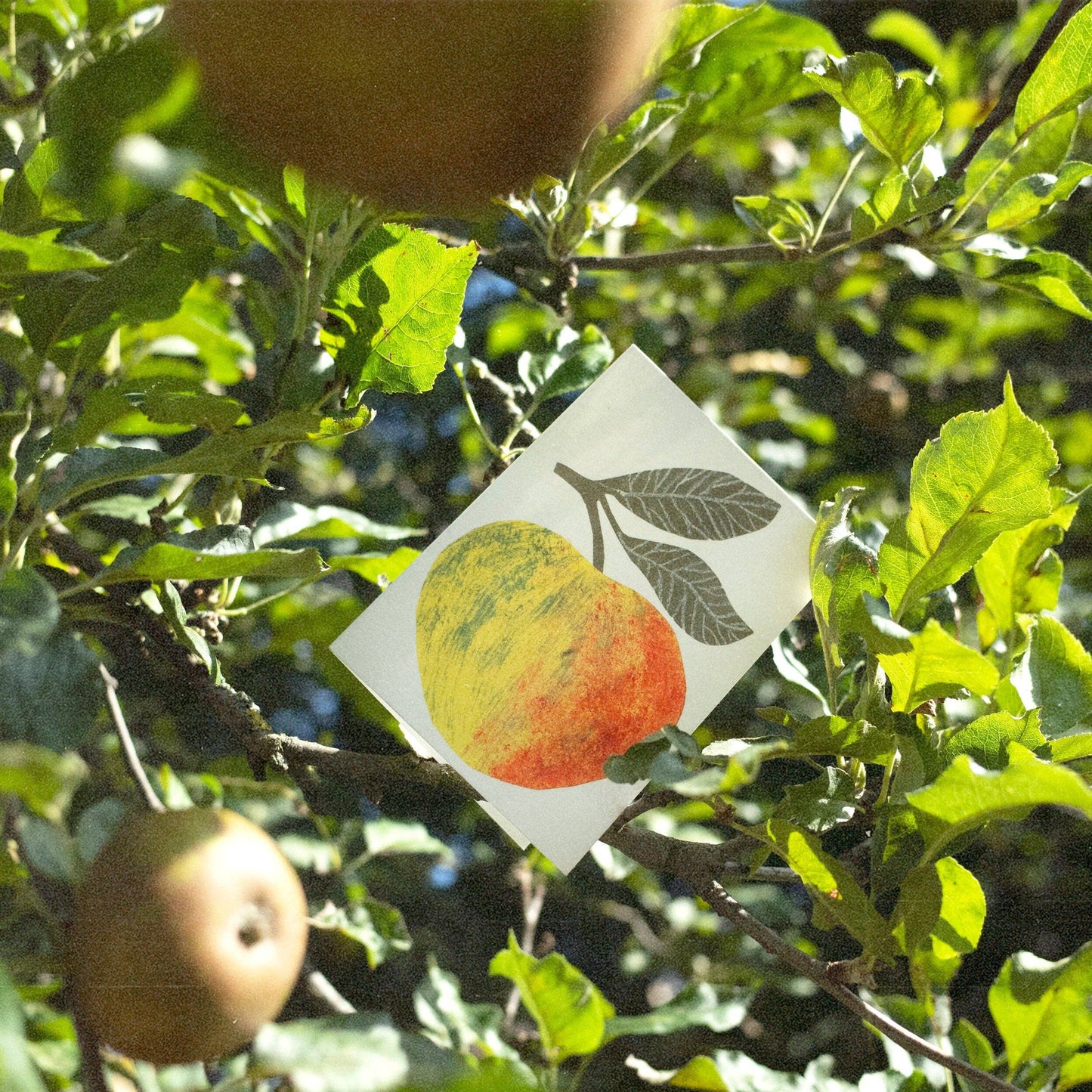 Small greetings card with an apple illustrations.