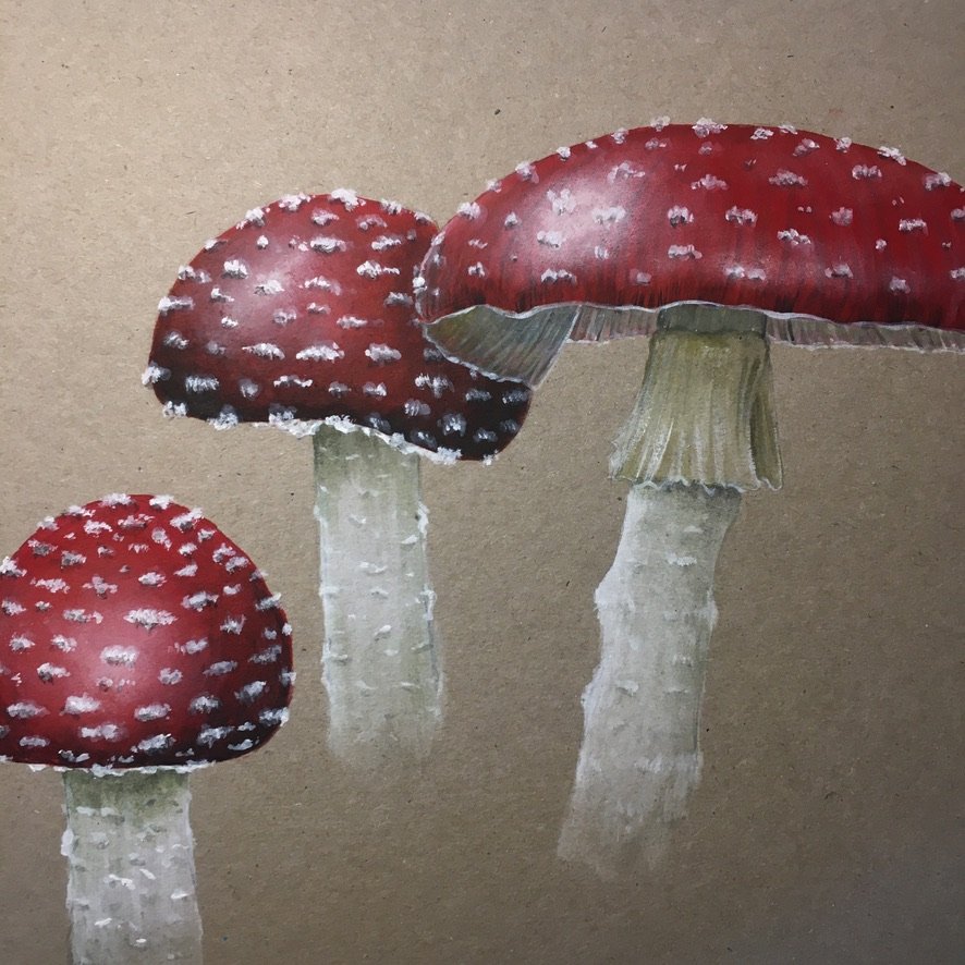 A hand-painted image of a cluster of fly agaric mushrooms with a light brown background.