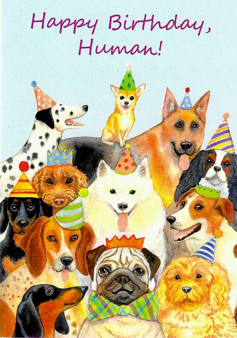 happy birthday card with a selection of dogs in party hats