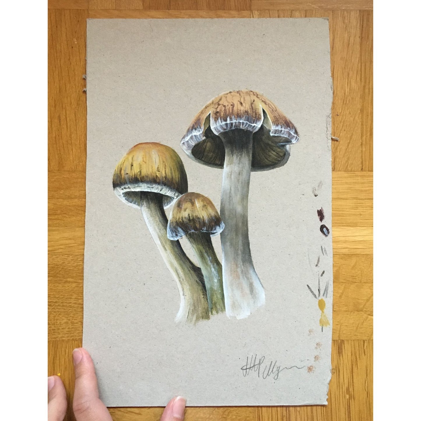A hand-painted image of a cluster of parasol mushrooms with a sandy beige background.