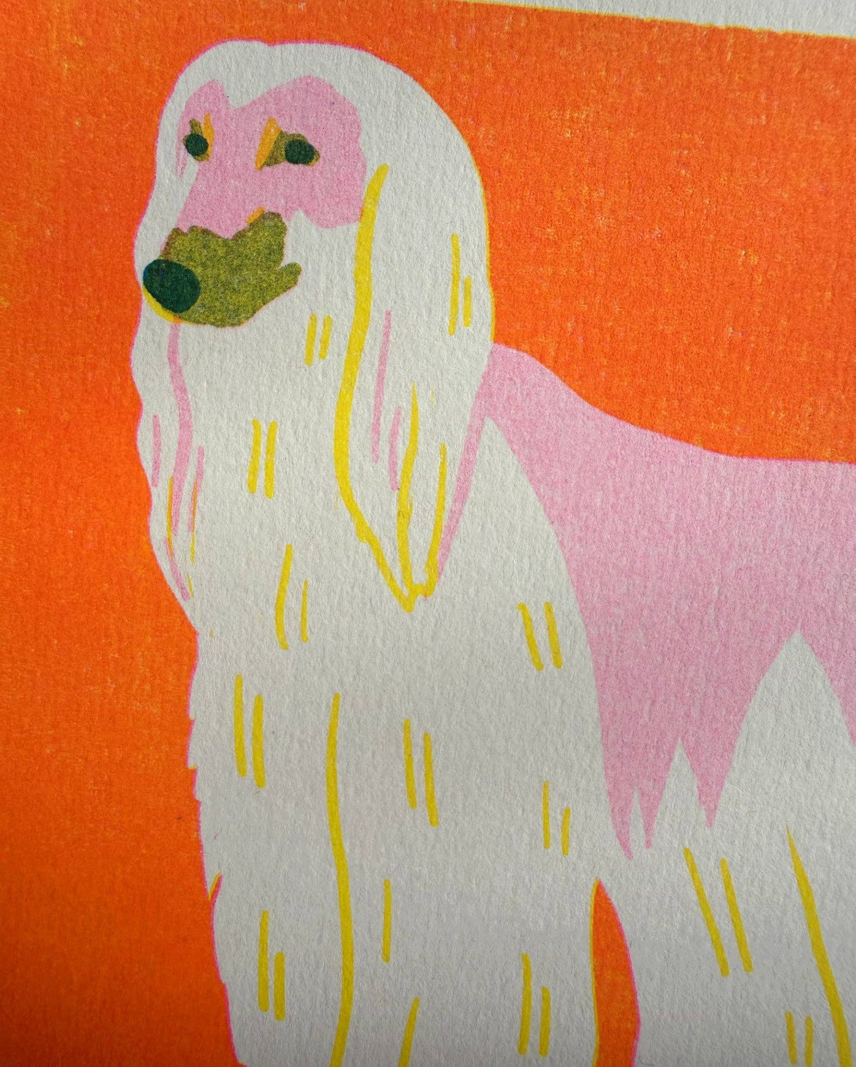 Illustration of a dog with a pink face and white body on an orange background
