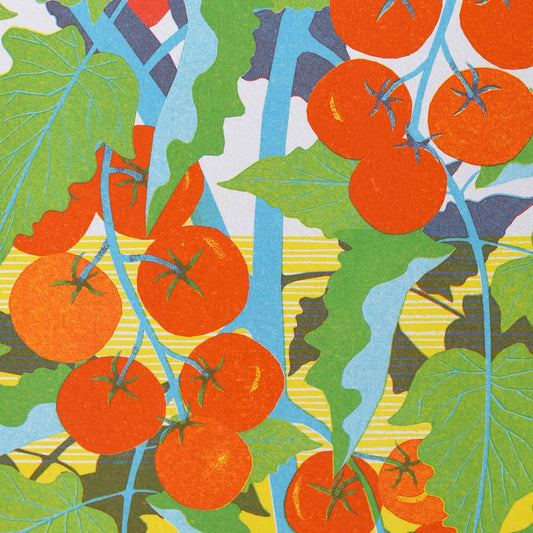 Bright illustration of tomato plant with cherry tomatoes. The title at the top Tomato Seeds, Tiny Tim