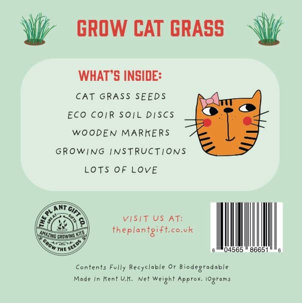 mini grow kit. Cat Grass