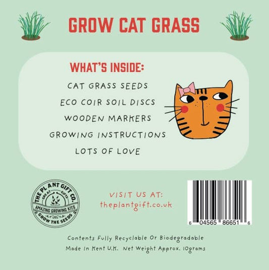 mini grow kit. Cat Grass