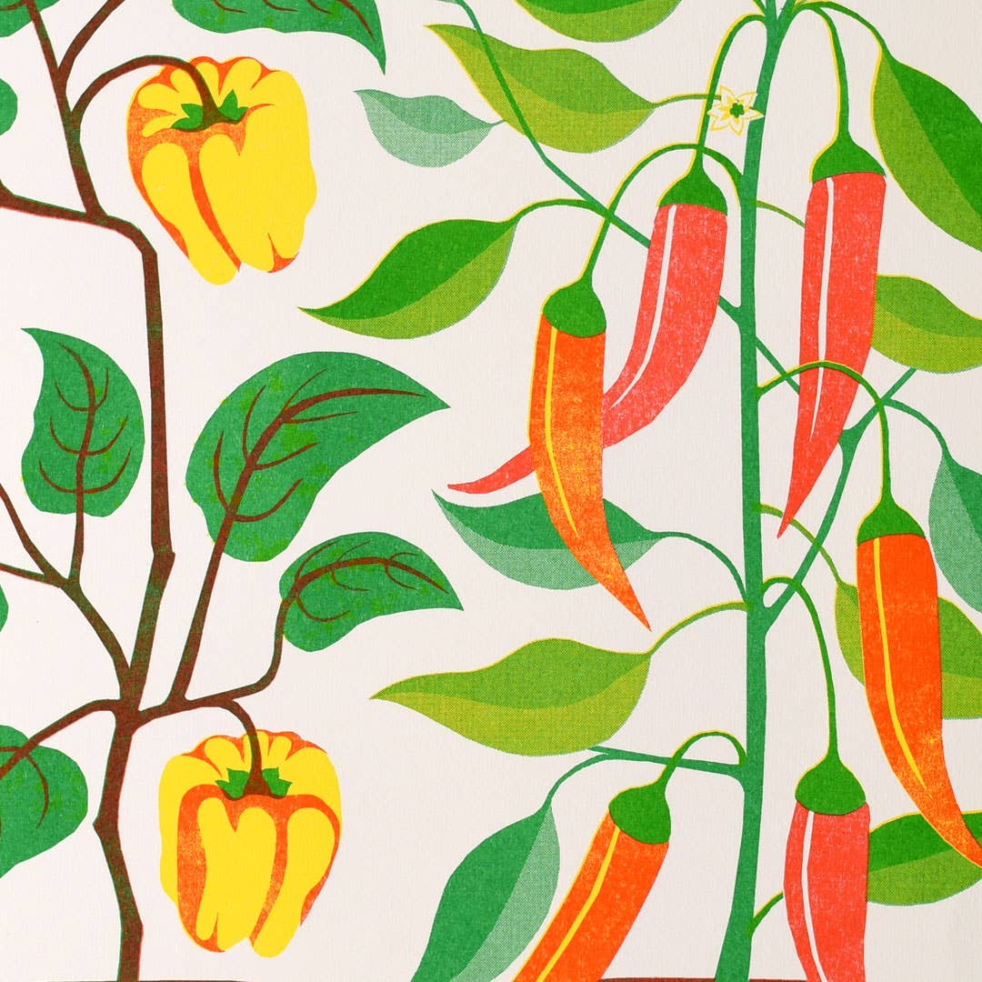 Risograph print of chillis growing in tins.