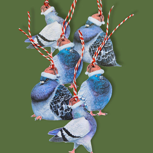 Pigeon Christmas Gift Tags - Set of 6 Card Tags