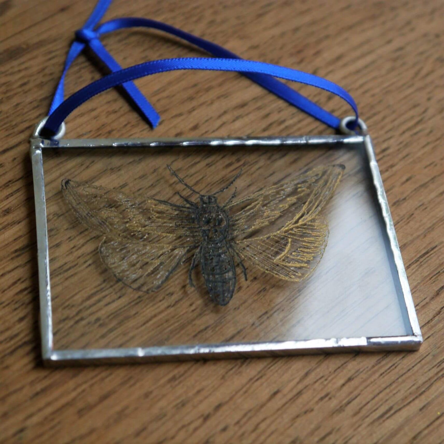 The Corbeau Press Moth With Skull Hanging
