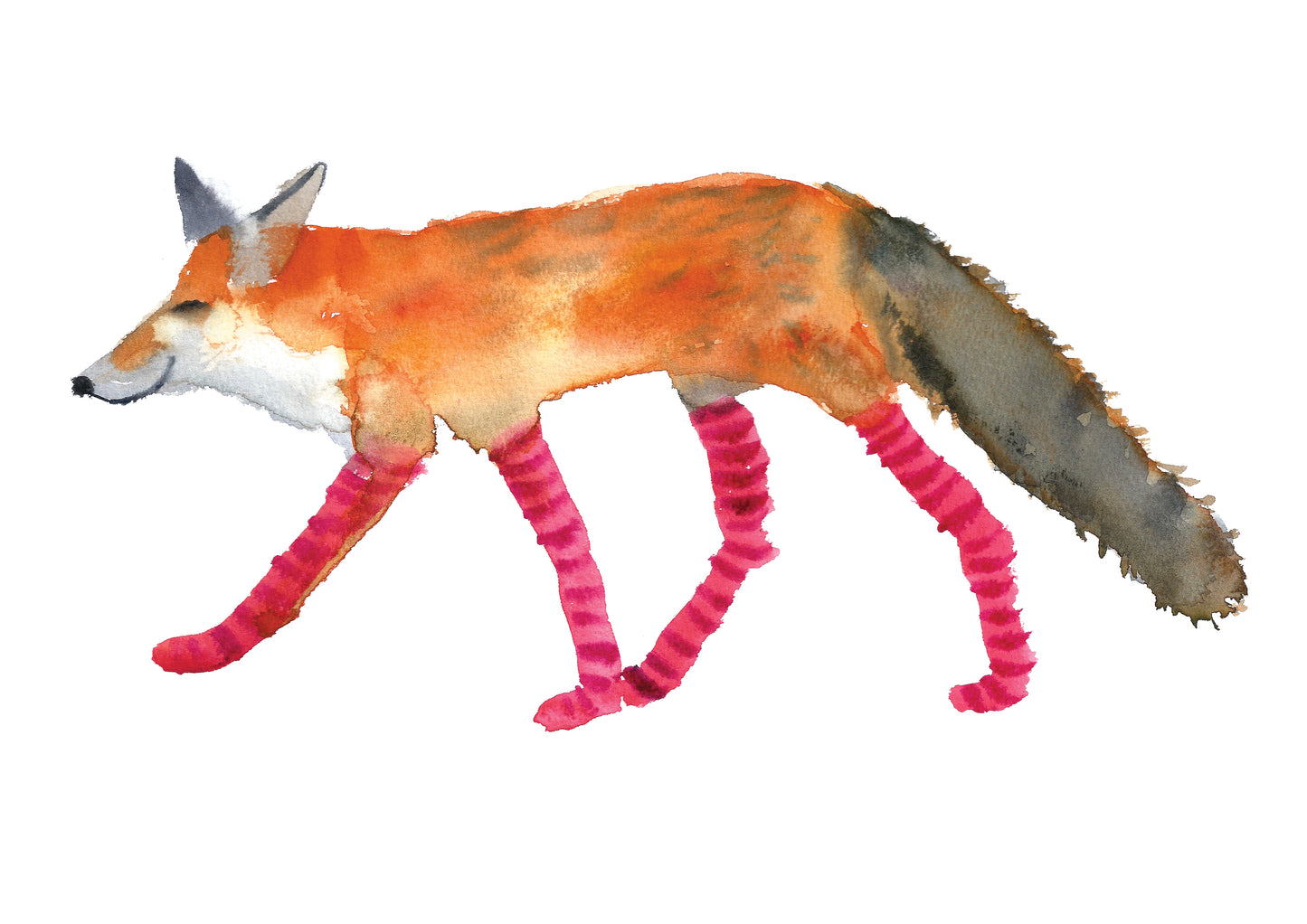 Rosie Webb Fox in Socks Card