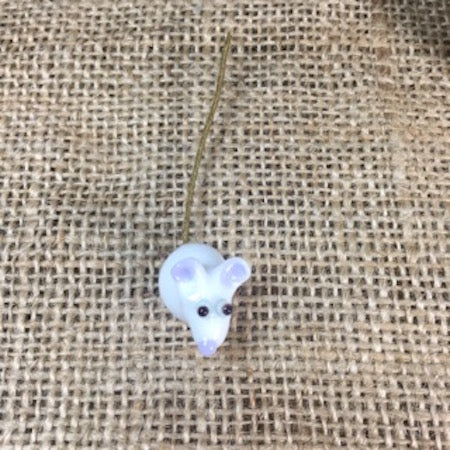 Sue Webb Friend in a box pet mouse. Edit alt text