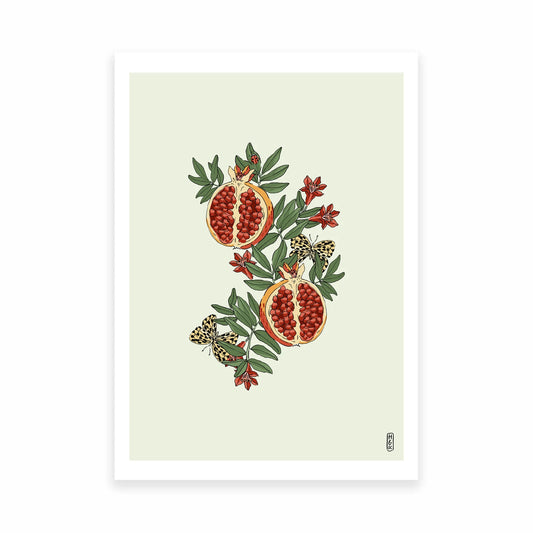 Hannah Grace colouful art print A4 pomegranate with butterflies