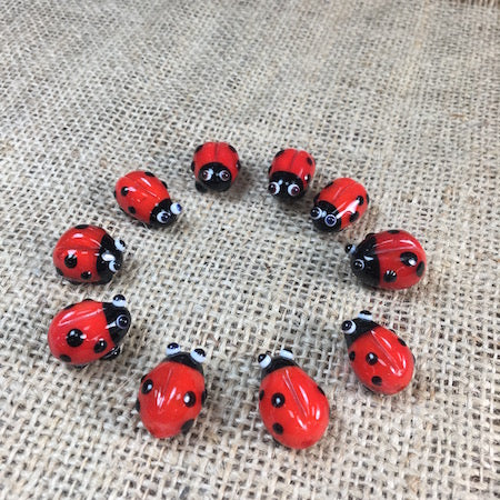 Sue Webb Friends in a box Glass Ladybird.