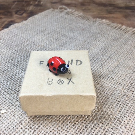 Sue Webb Friends in a box Glass Ladybird.