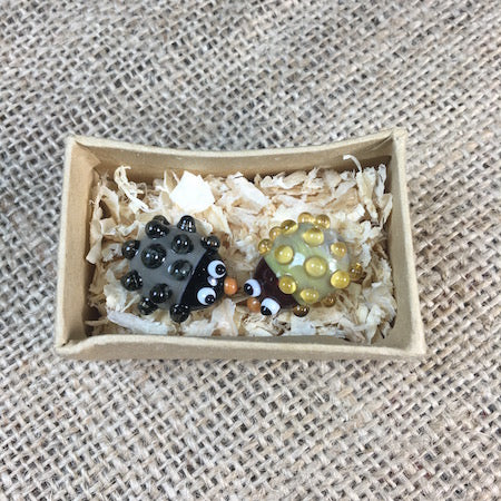 Sue Webb Friends in a box glass Hedgehog.