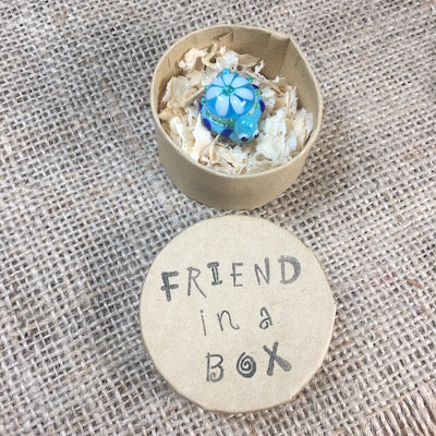 Sue Webb Friends in a box Snurtle. These colourful creatures are a combination of a snail and a turtle.