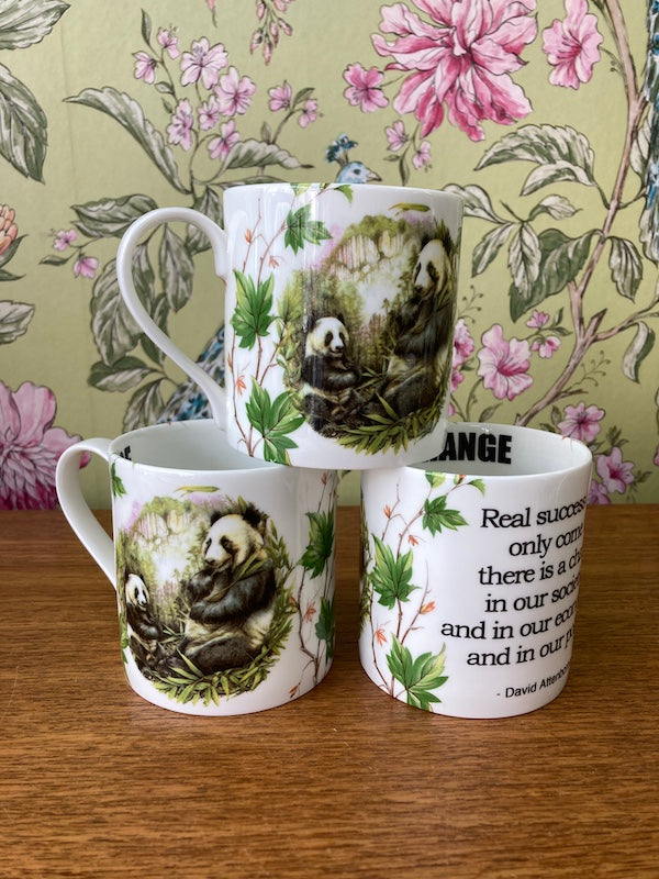 David Attenborough China mug, made in Bristol by Stokes Croft China.