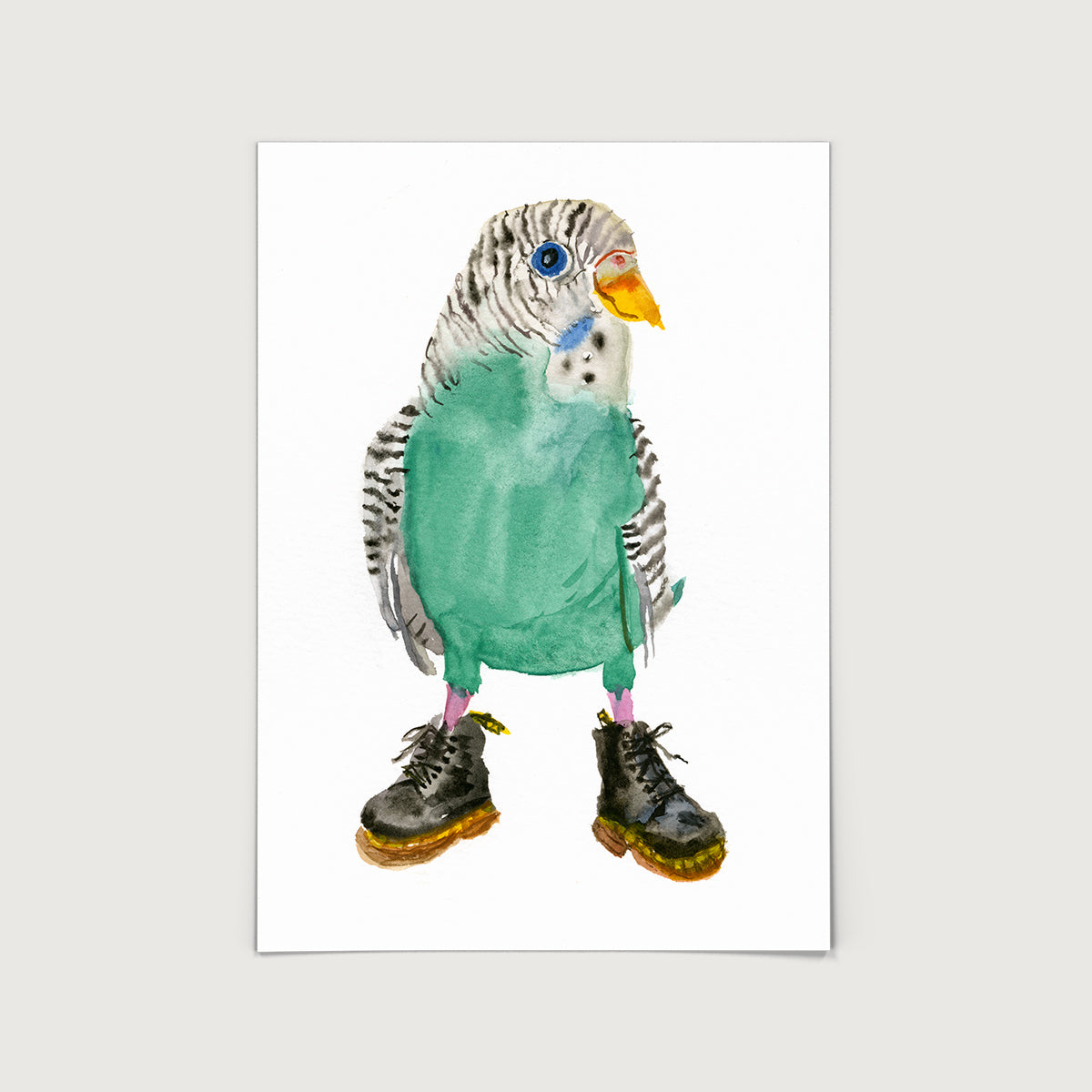Rosie Webb Green Budgie in Black Docs Print