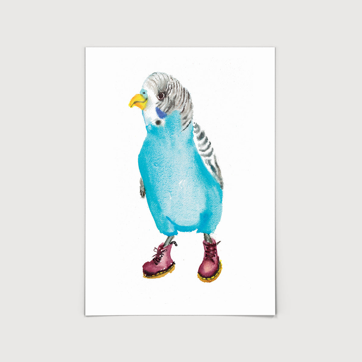 Rosie Webb Budgie Print