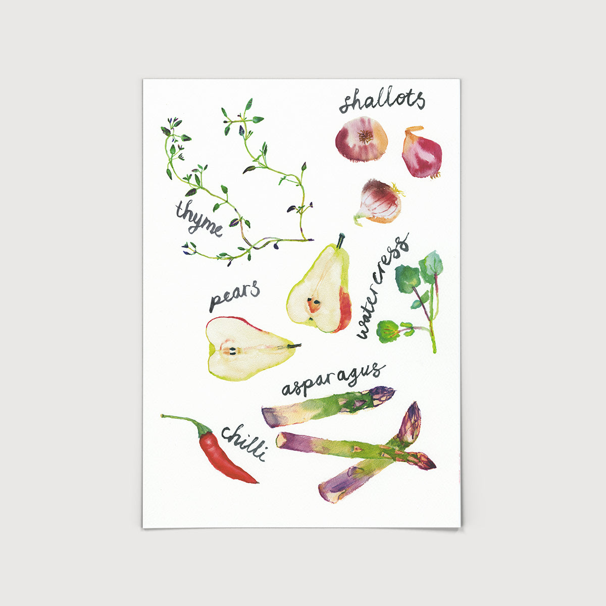 Rosie Webb Thyme Chilli Print
