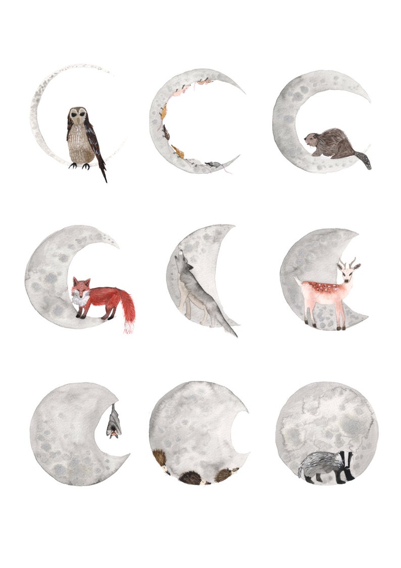 watercolour greetings card with moon phases and shapes and animals