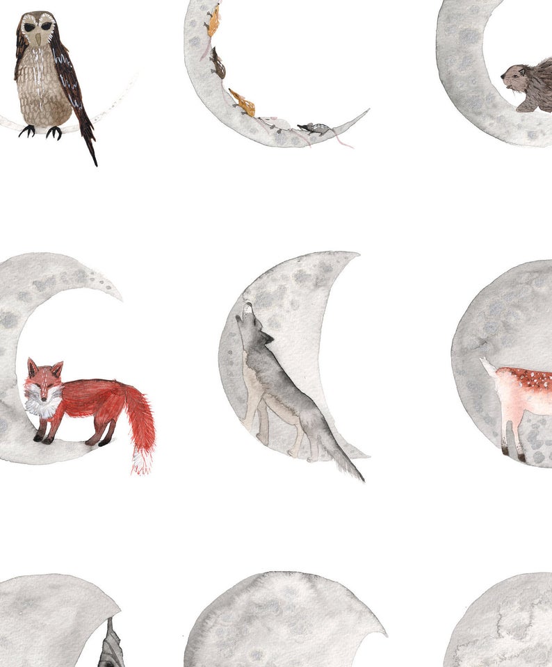 watercolour greetings card with moon phases and shapes and animals