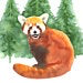 Laura Robertson Card. Greetings Card. Red Panda. Handmade in Bristol.