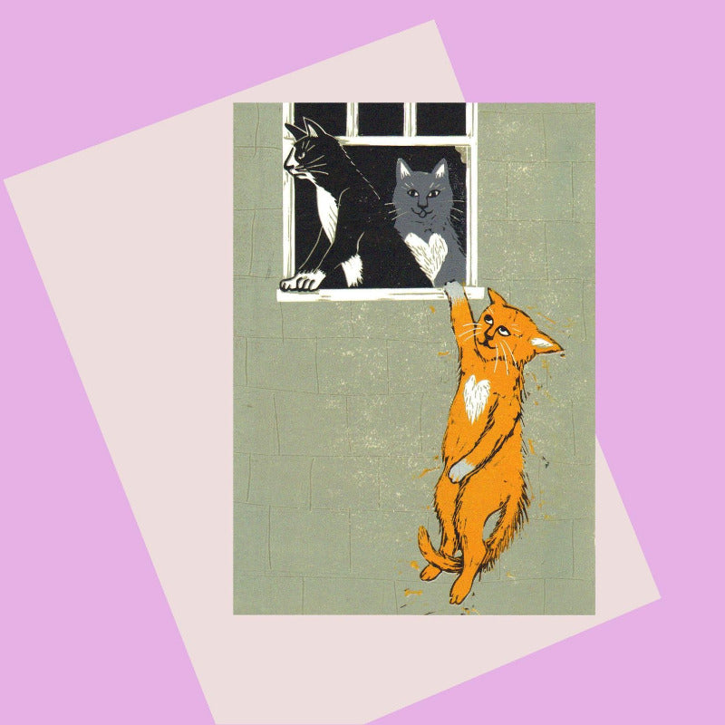 A humorous take on the well hung lovers banksy art. 2 cats look out the window and one cat hangs off the window sill. Perfect Bristol and cat lovers card.