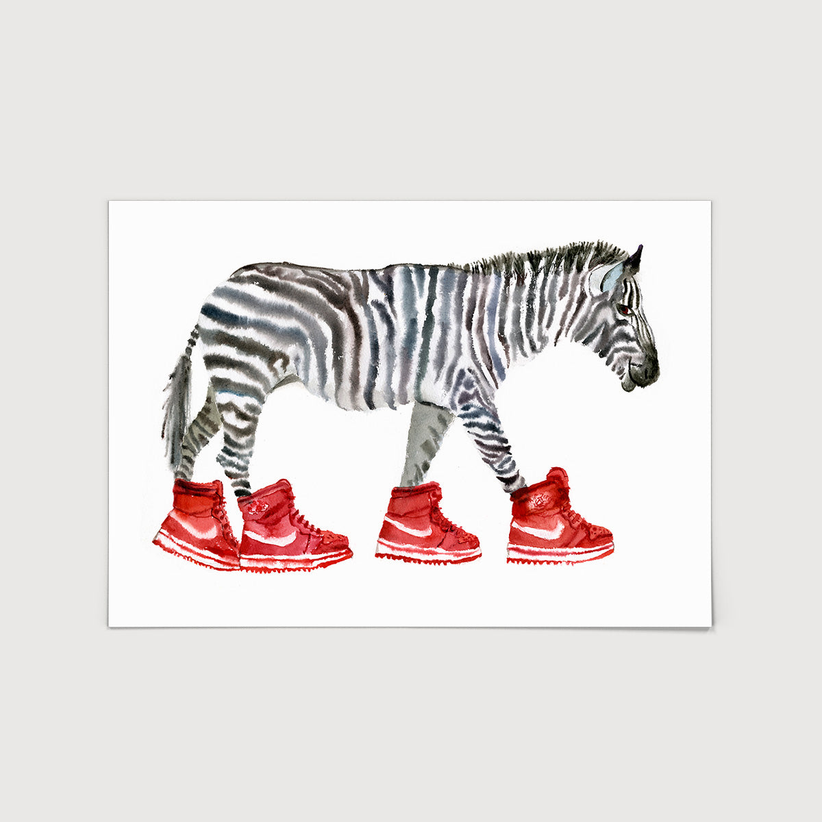 Rosie Webb Zebra in High tops Print