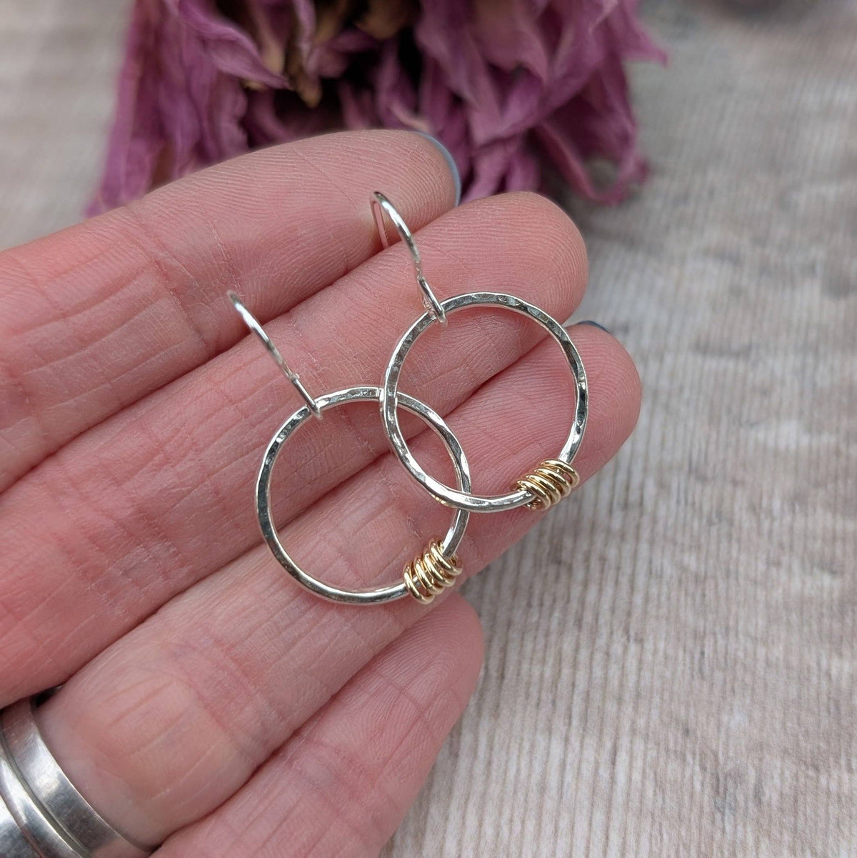 Silver Circle Earrings with Gold Loops