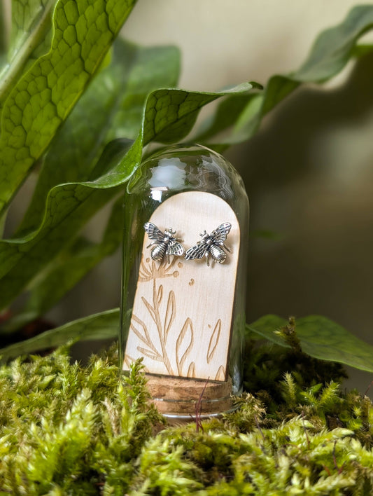 A pair of sterling silver stud earrings with a bee design, placed inside a glass tube, set against a natural background with green leaves and moss.