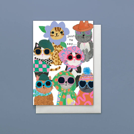 Cats in Hats