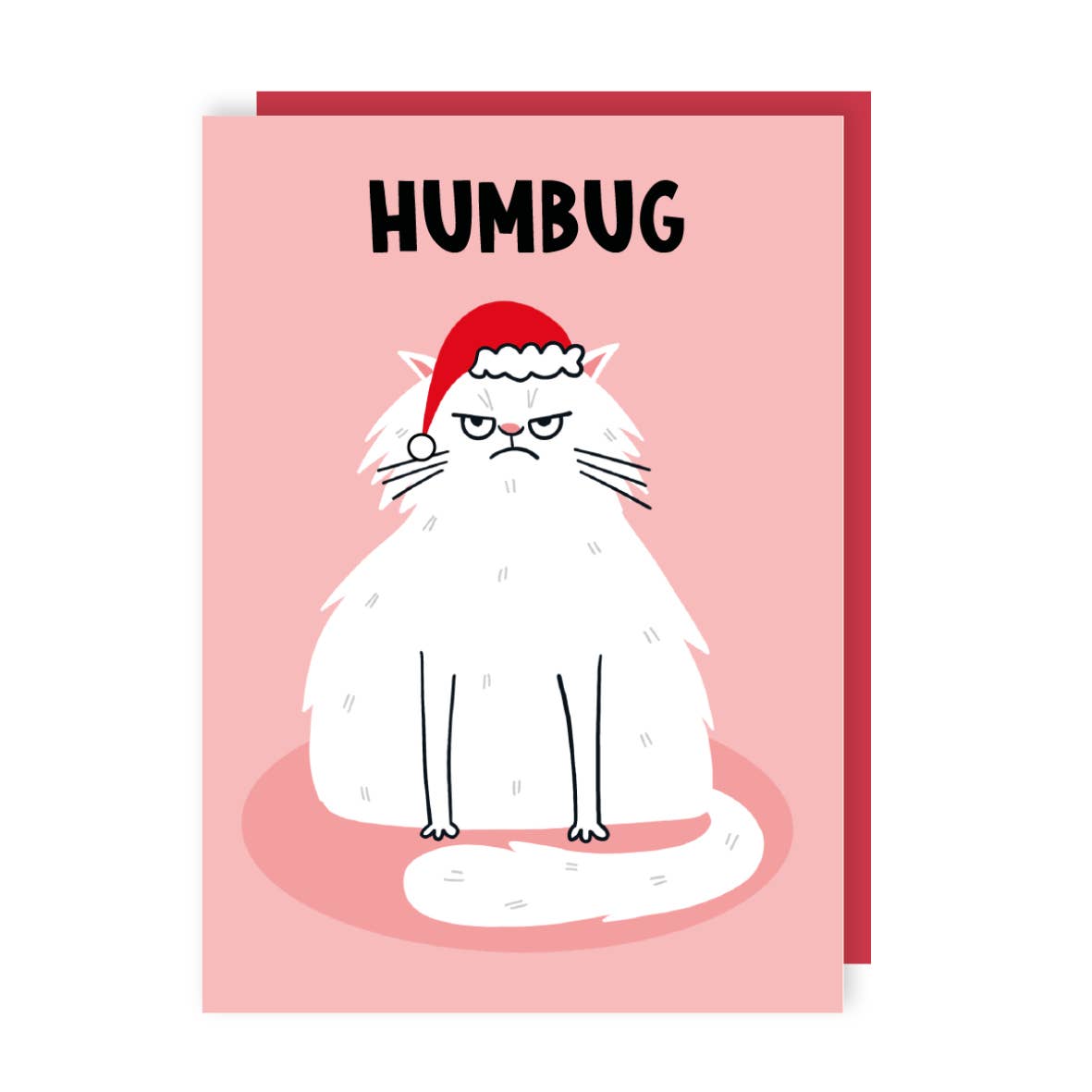 Grumpy Cat Humbug Christmas Card