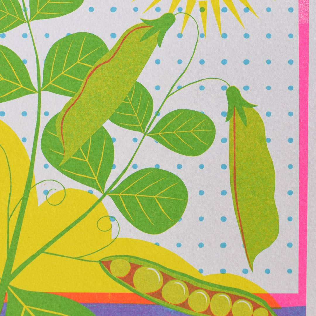 Brightly coloured illustration of a seed packet for Peas. Johnsons Seeds