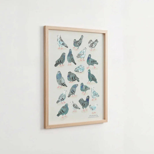 Framed art print featuring an illustration of multiple pigeons in muted blue, gray, black, and white tones on a light background, hung on a plain white wall.