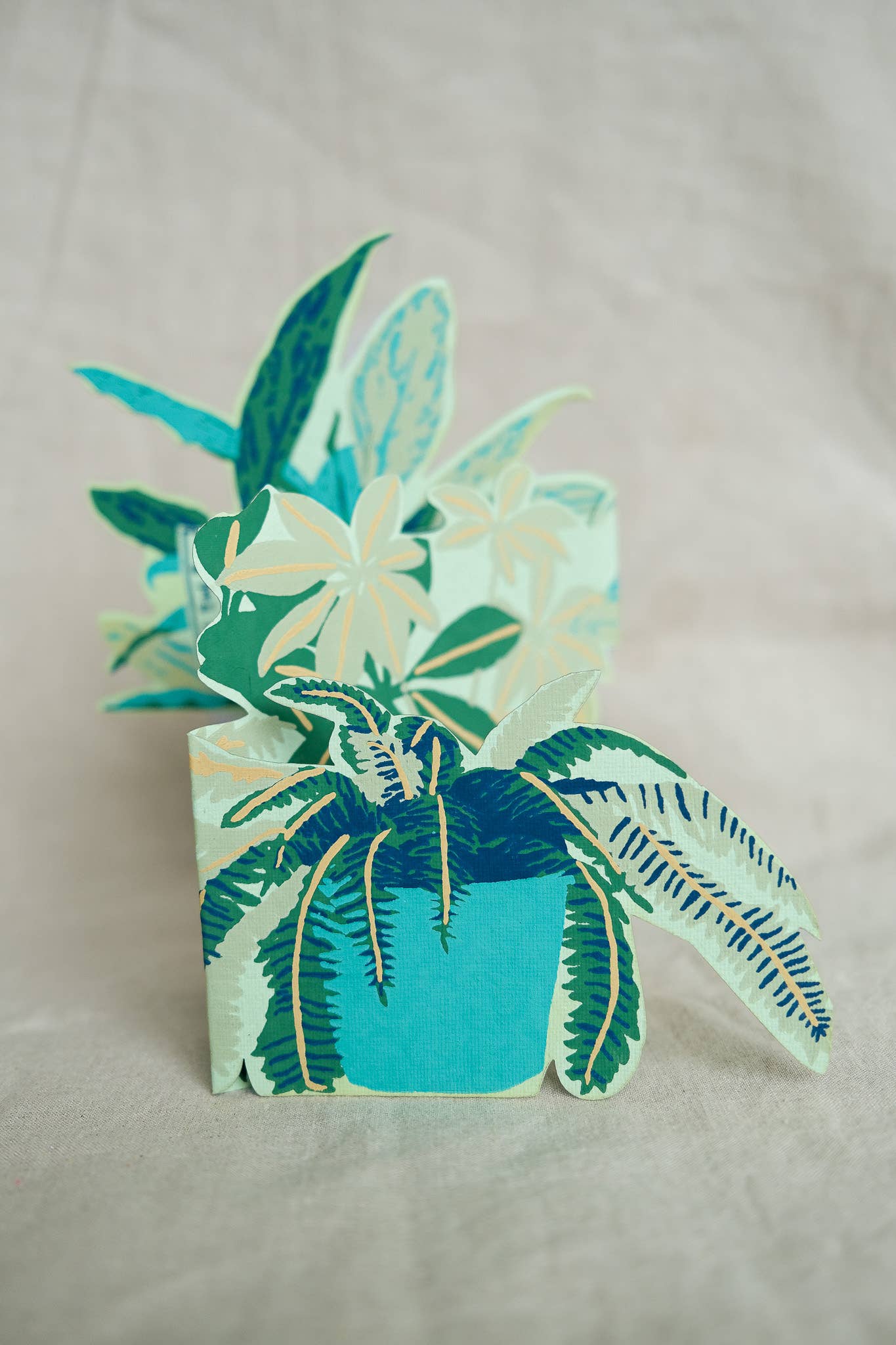 Fold out Houseplant Card