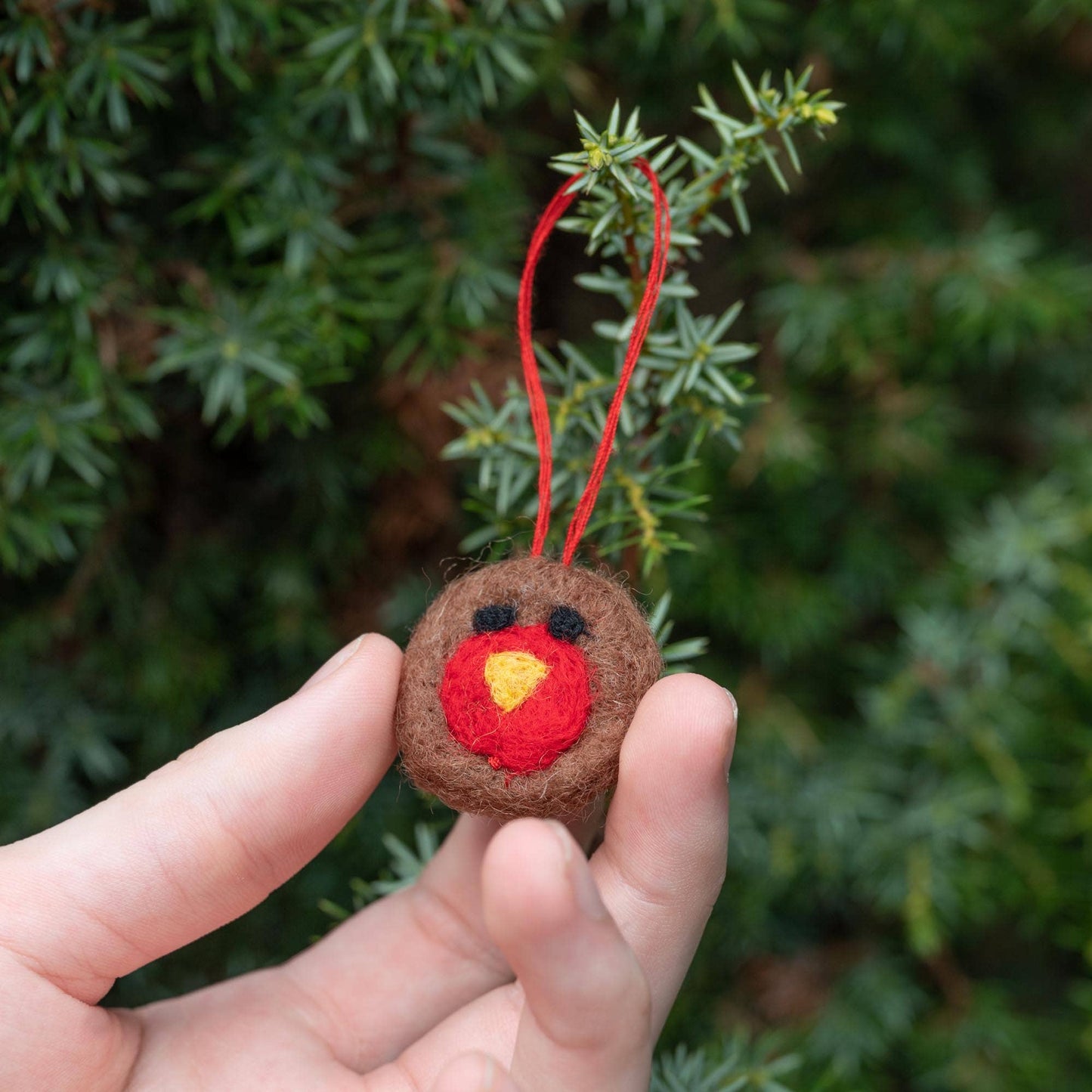 Christmas Tweetings Wool Felt Robin In A Matchbox