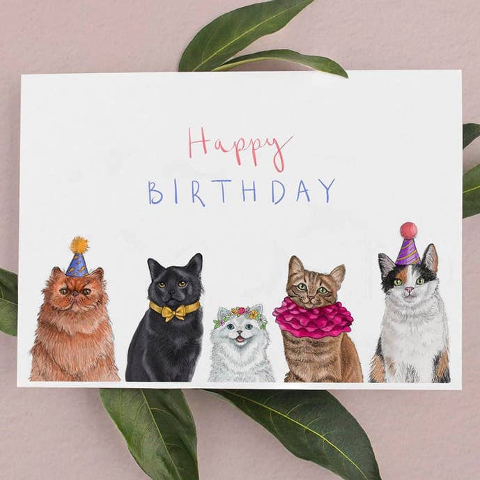 Birthday card with illustrations of five cats wearing party hats and accessories on a white background.