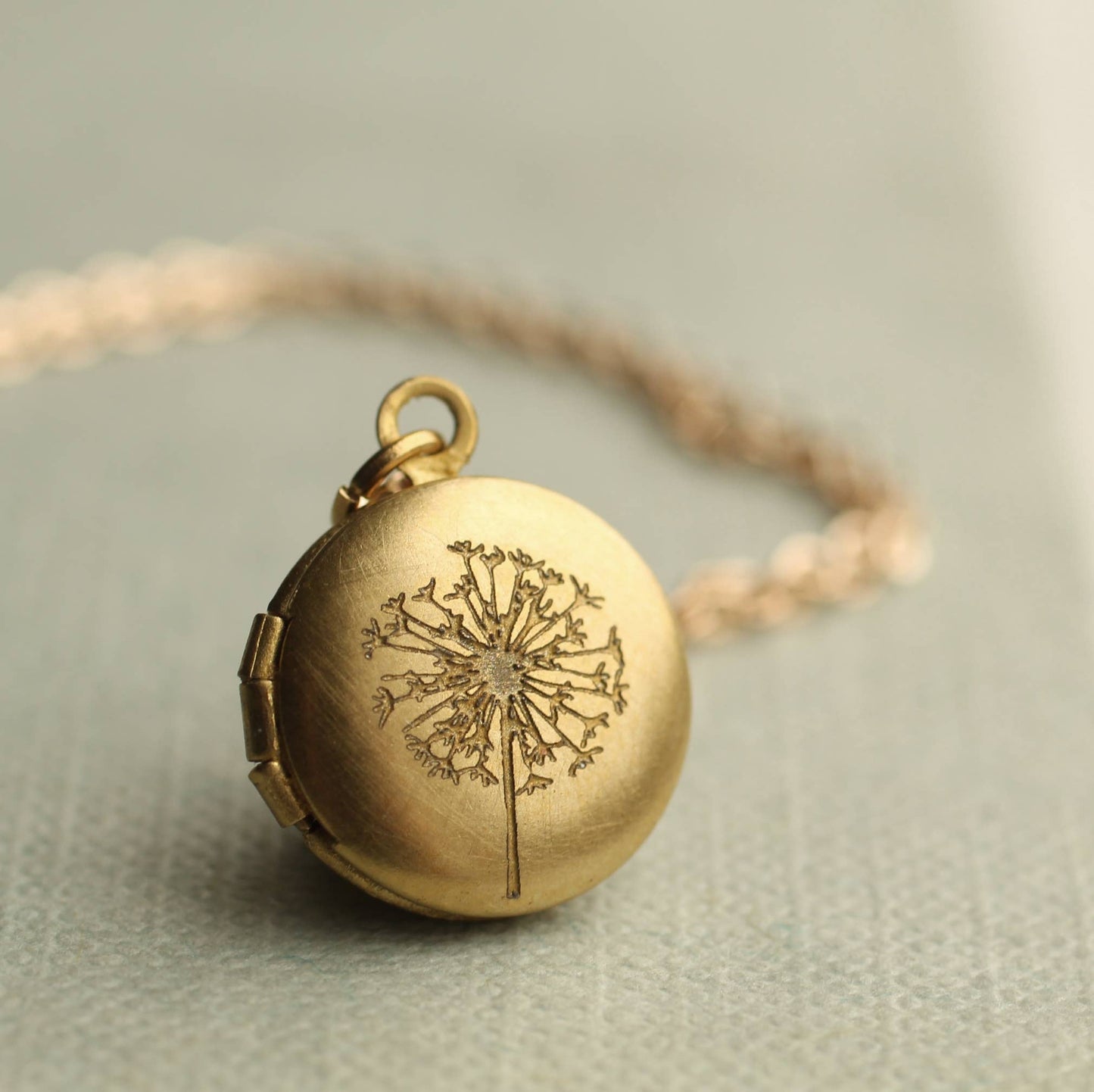 Tiny Brass Round Dandelion Locket Necklace