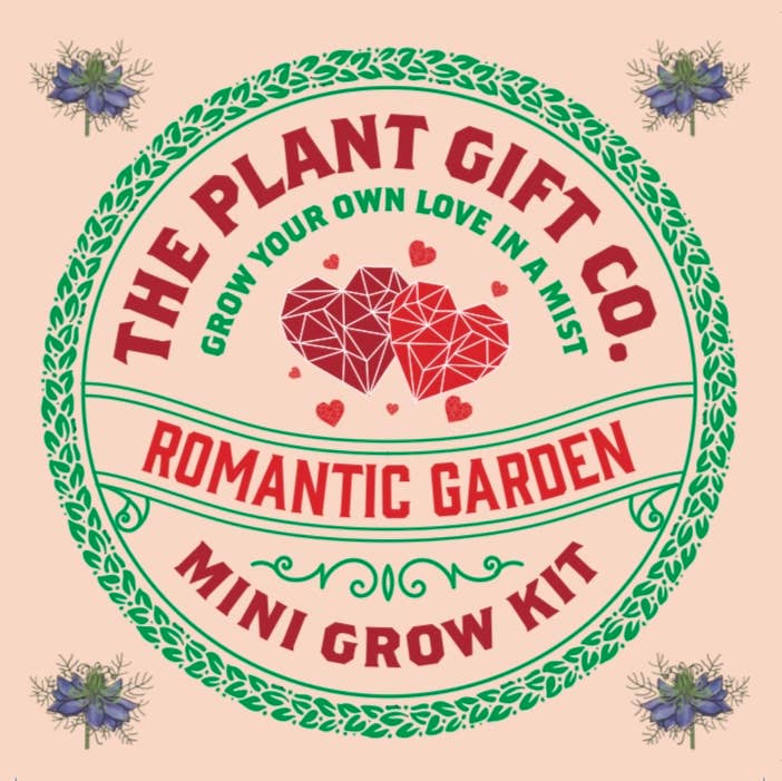 Romantic Garden. Eco Mini Plant Grow Kit