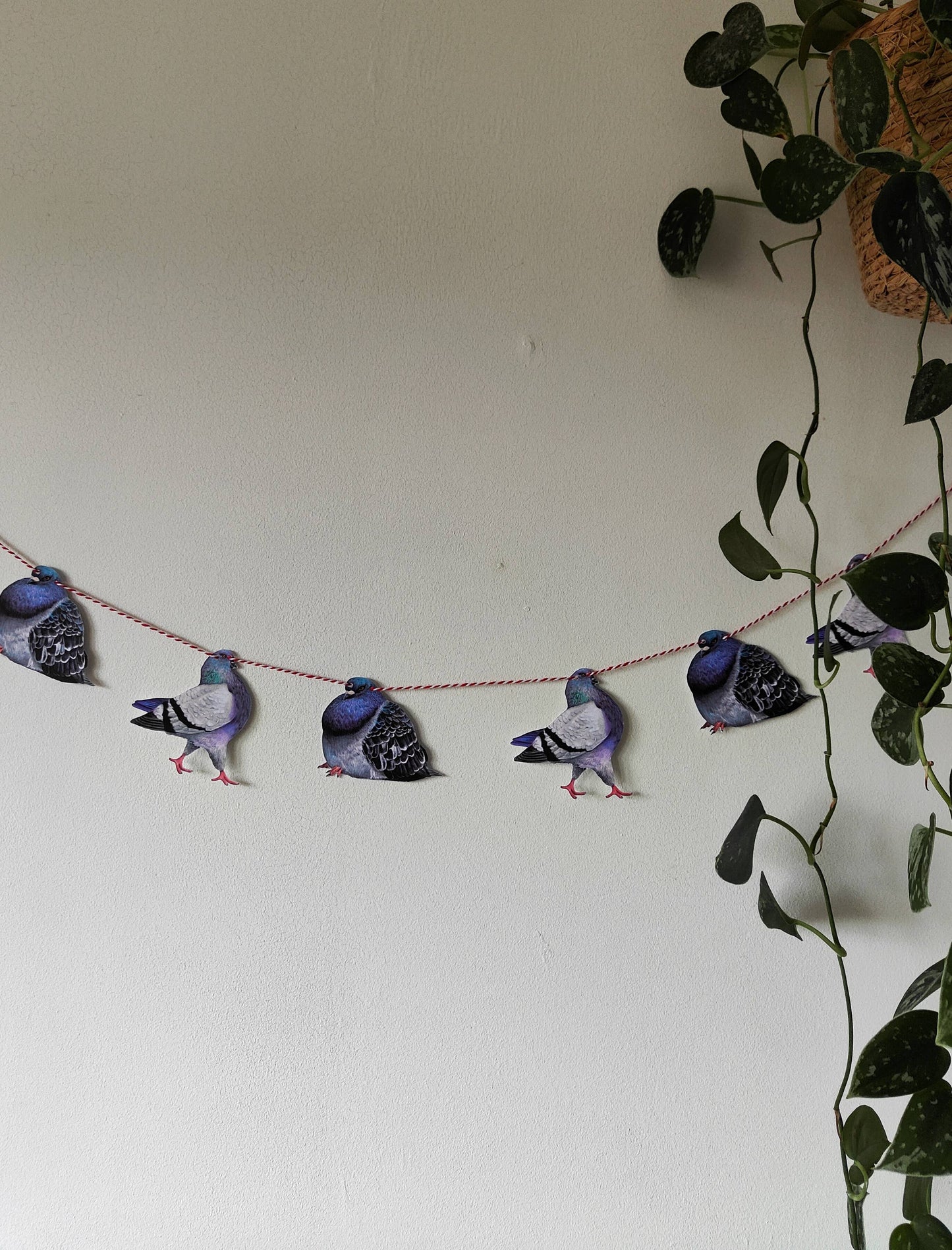 Pigeon Garland/Bunting - Pigeon Deocrations For Parties