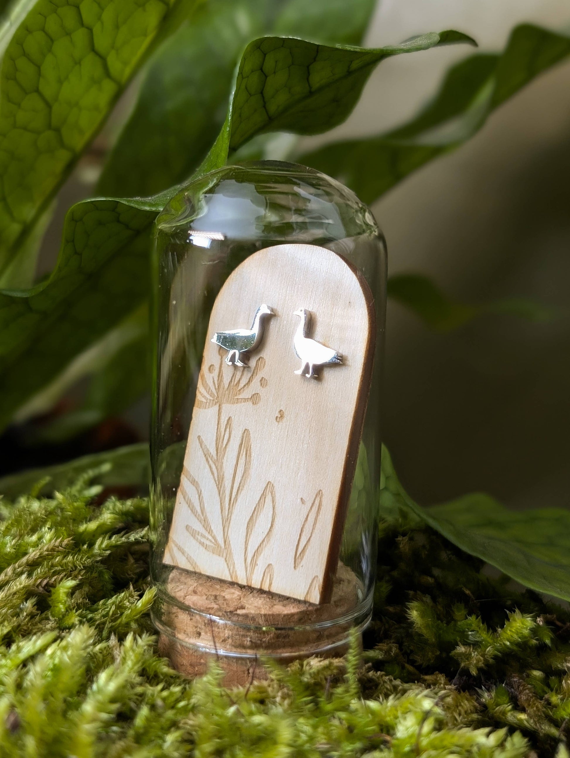 Stainless steel hexagon stud earrings displayed in a glass terrarium tube with a cork stopper, placed on a bed of moss, surrounded by green leaves.