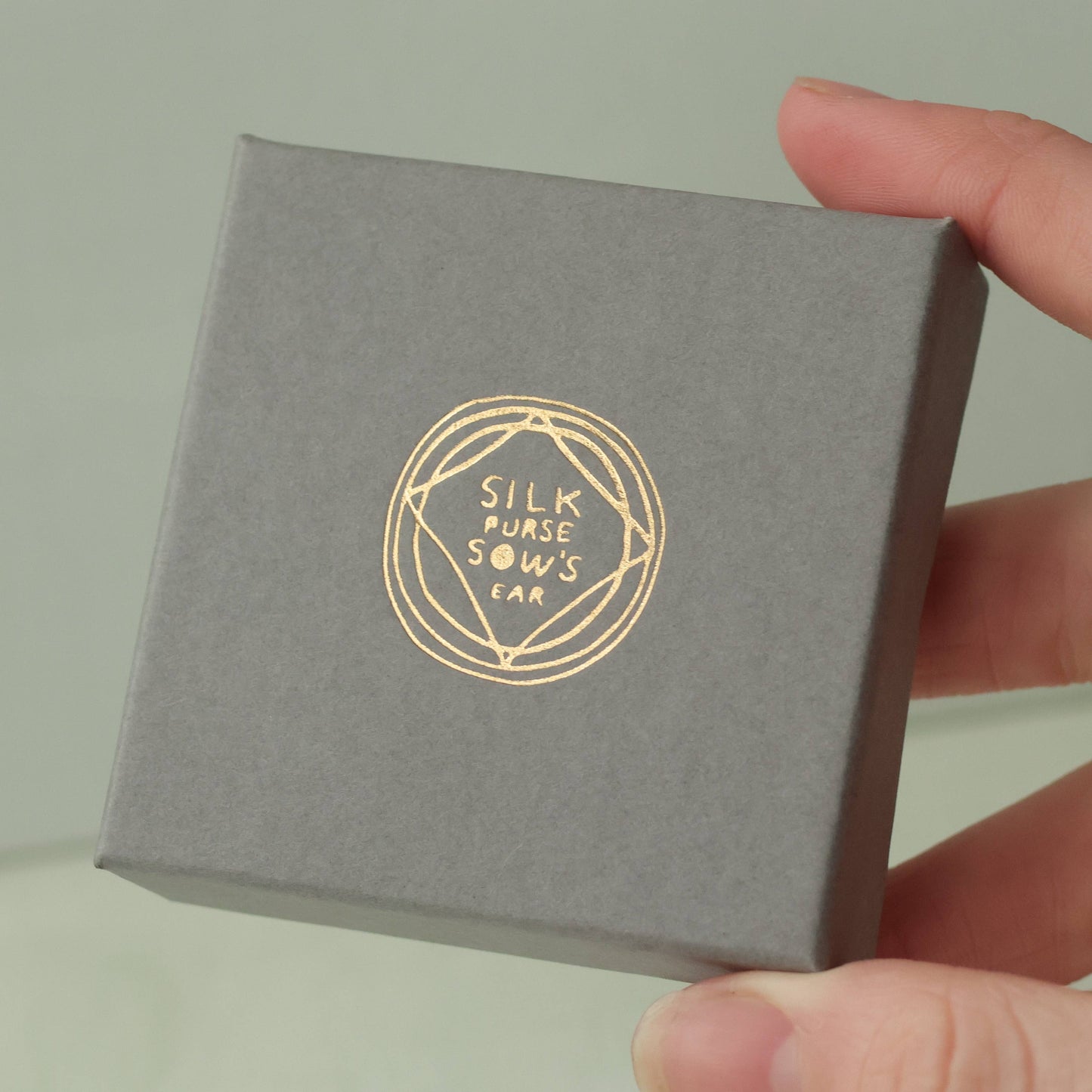 Gray box with 'Silk Purse Sow's Ear' logo held by a hand against a light green background