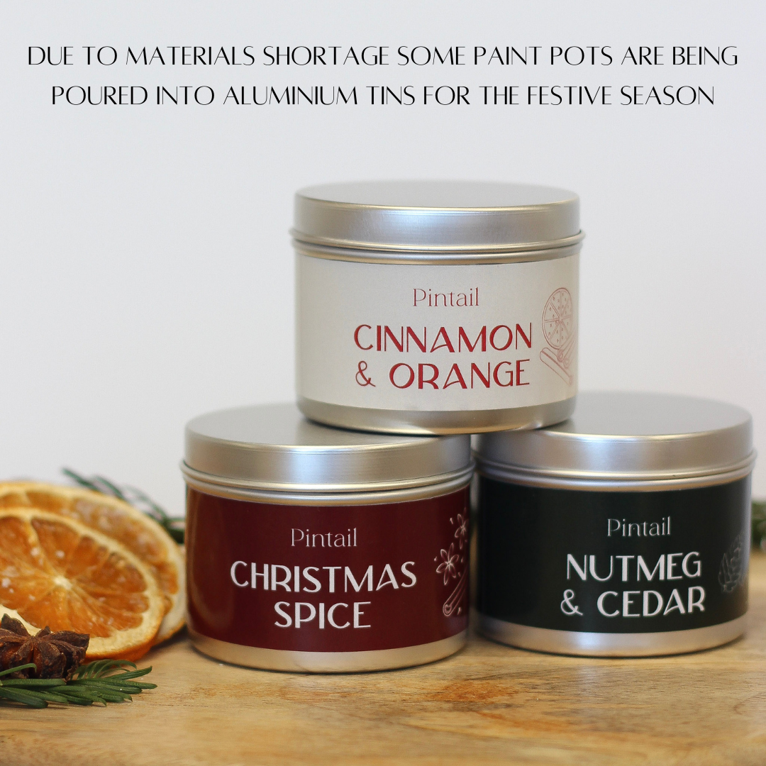 Cinnamon & Orange Paint Pot Candle I Christmas Candle