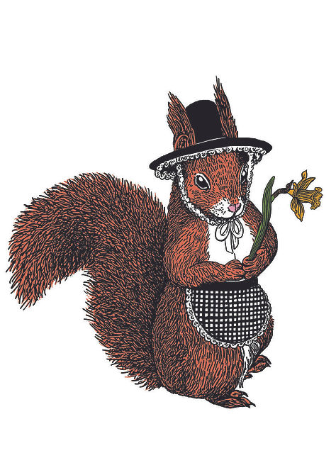 A whimsical illustration of a red squirrel wearing a black hat and checkered apron, holding a daffodil.