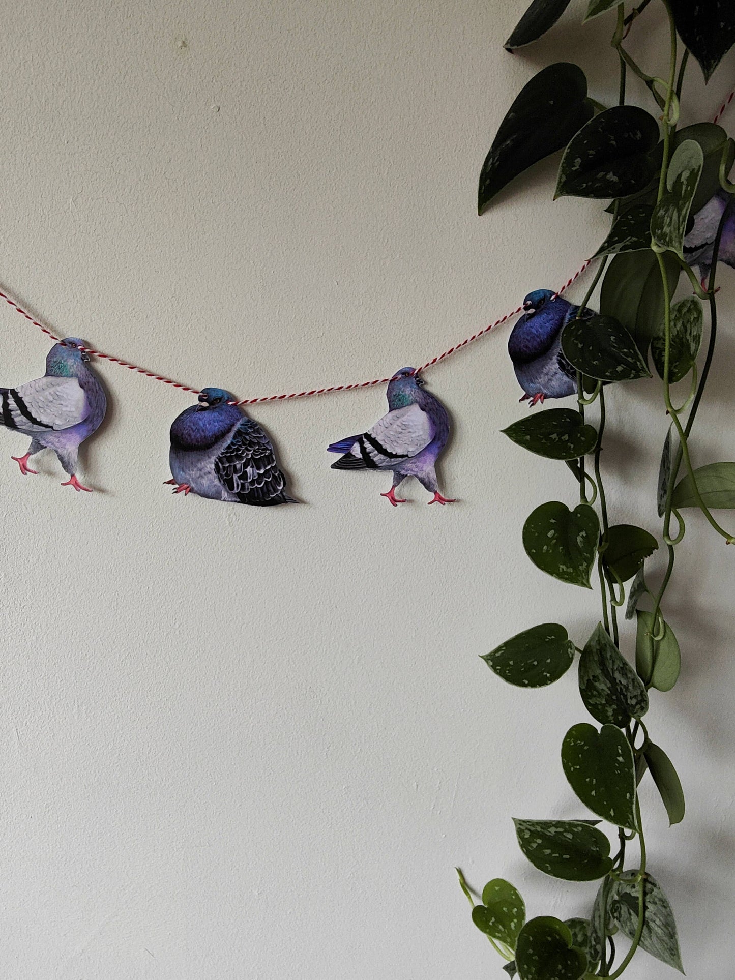 Pigeon Garland/Bunting - Pigeon Deocrations For Parties